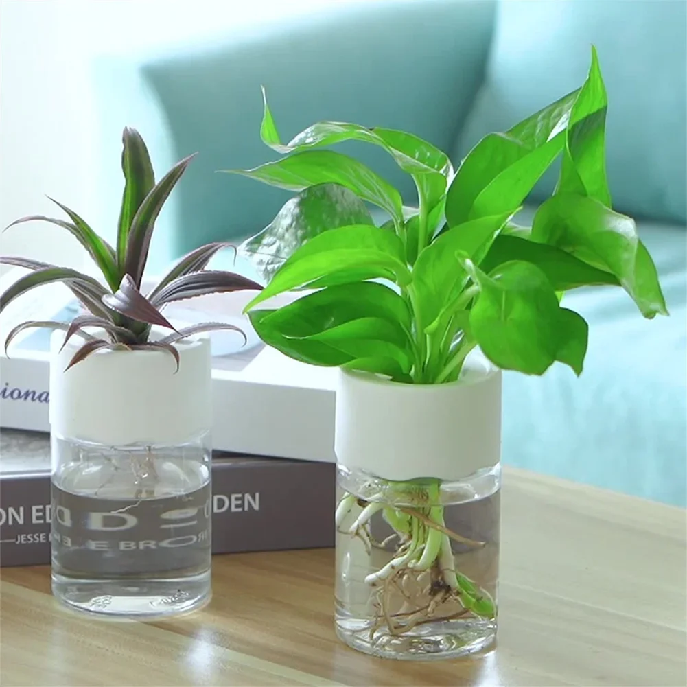 Hydroponic Grow Pod - Mini hydroponiczna doniczka, przezroczysty wazon do