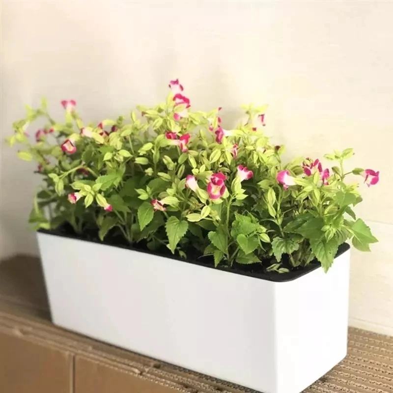 Hydroponic Grow Pod - Prostokątna leniwa doniczka hydroponiczna z tworzywa