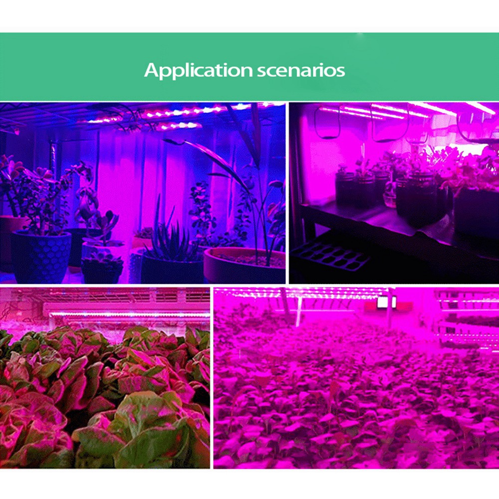 ABUH-5V 5-metrowa lampa do upr – Plant Grow Light Full Spectrum recenzja i cena