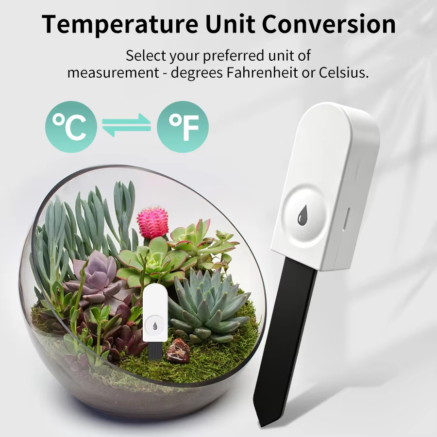 Monitor stanu roślin Zigbee 3. – Garden Camera recenzja i cena