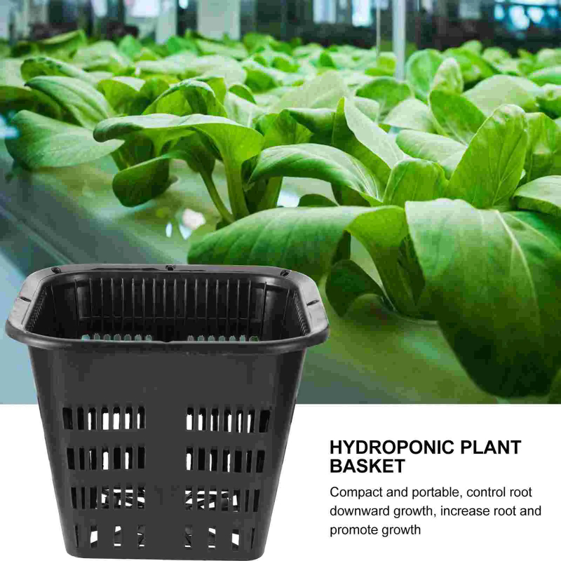 6 sztuk koszyków do uprawy hyd – Hydroponic Grow Pod recenzja i cena